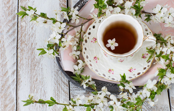 Spring has Sprung - Umami Tea Sampler - Umami Tea