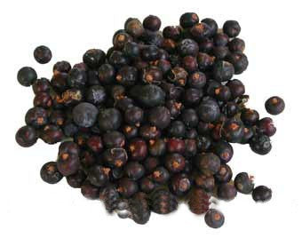 Juniper berries - Umami Tea