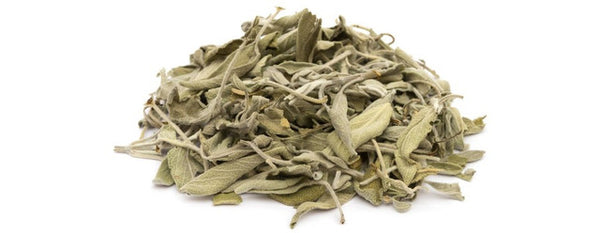 Sage Leaf - Salvia officinalis