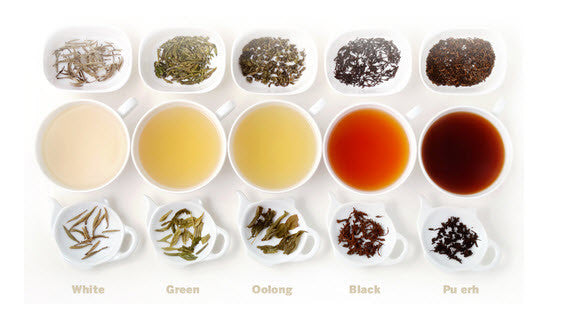 Tea Lover's Journey Tea Subscription - Umami Tea