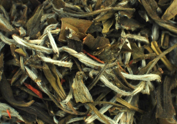 Sonoma Valley White Tea - Umami Tea