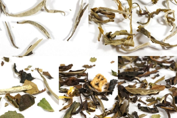 Umami Tea's Exotic Tea Sampler