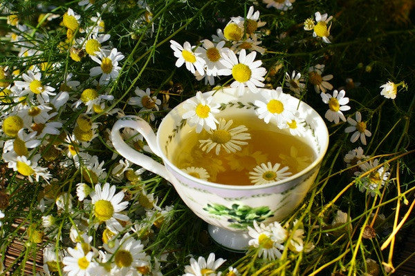 Chamomile Flowers Whole - Umami Tea