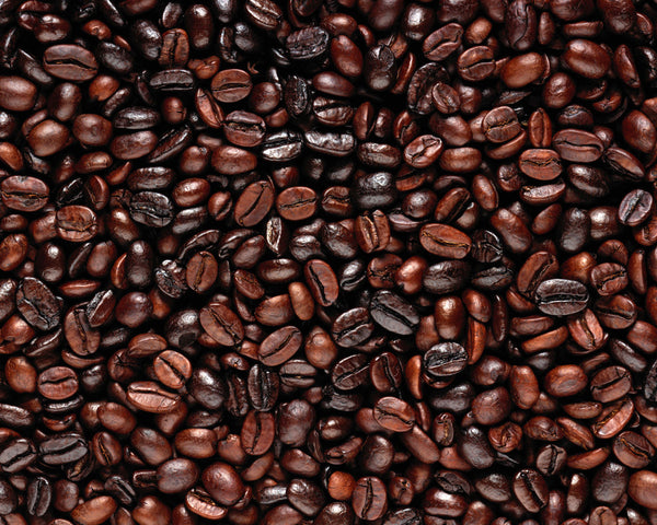 Rain forest Crunch Gourmet Coffee - Umami Tea