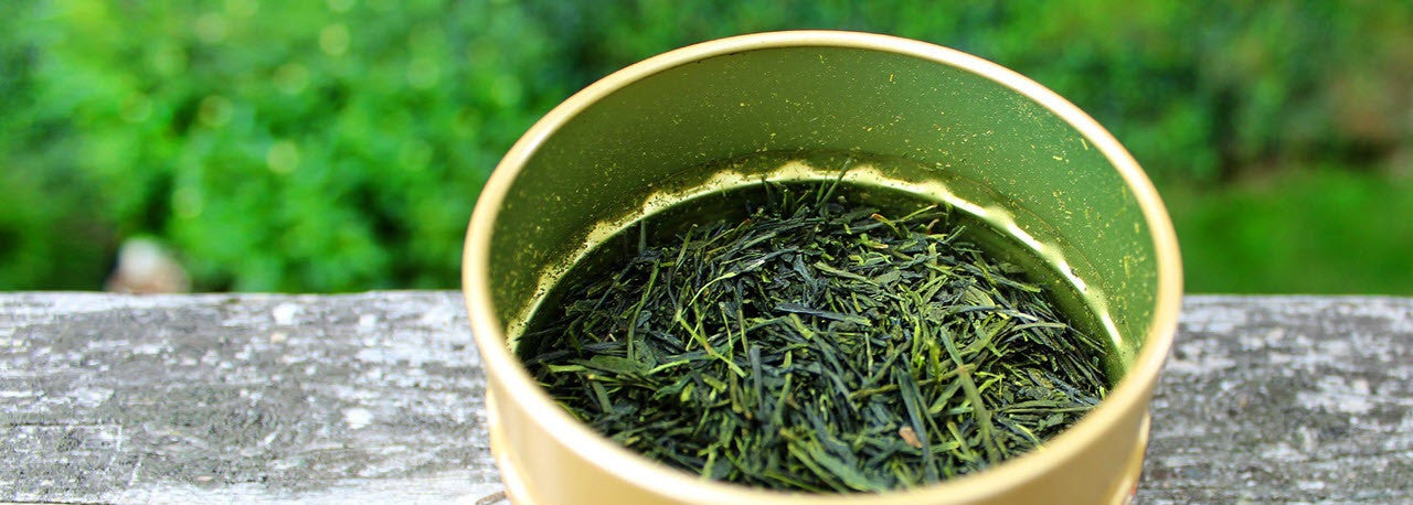 Umami Green Tea